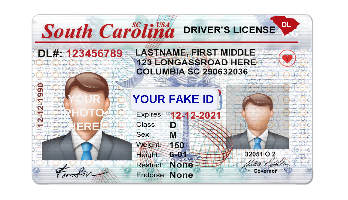 South Carolina Fake ID - v1