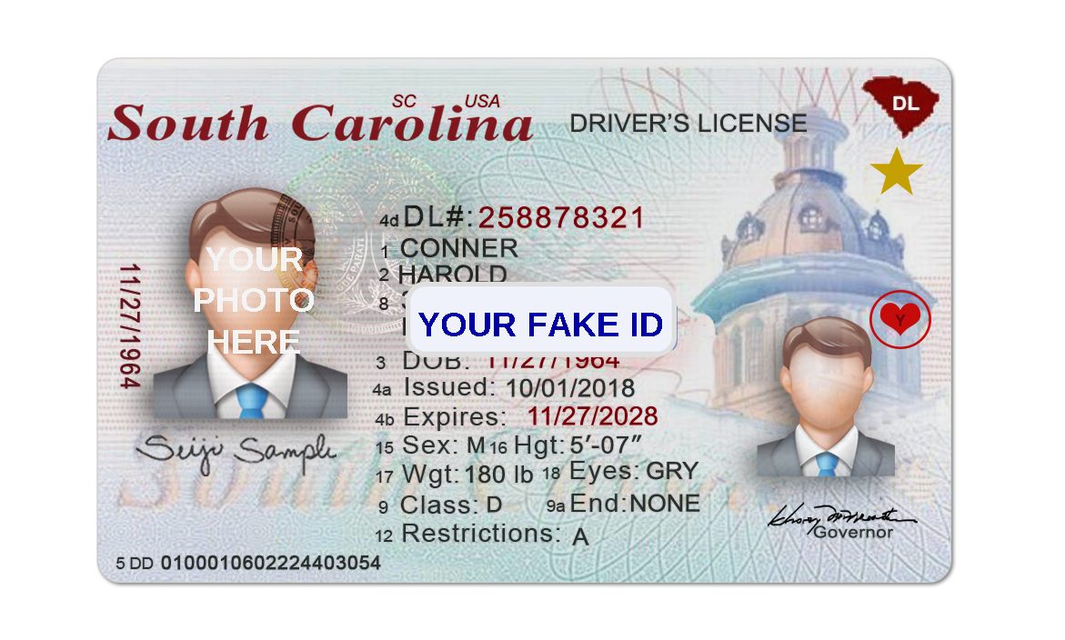 South Carolina Fake ID – v2