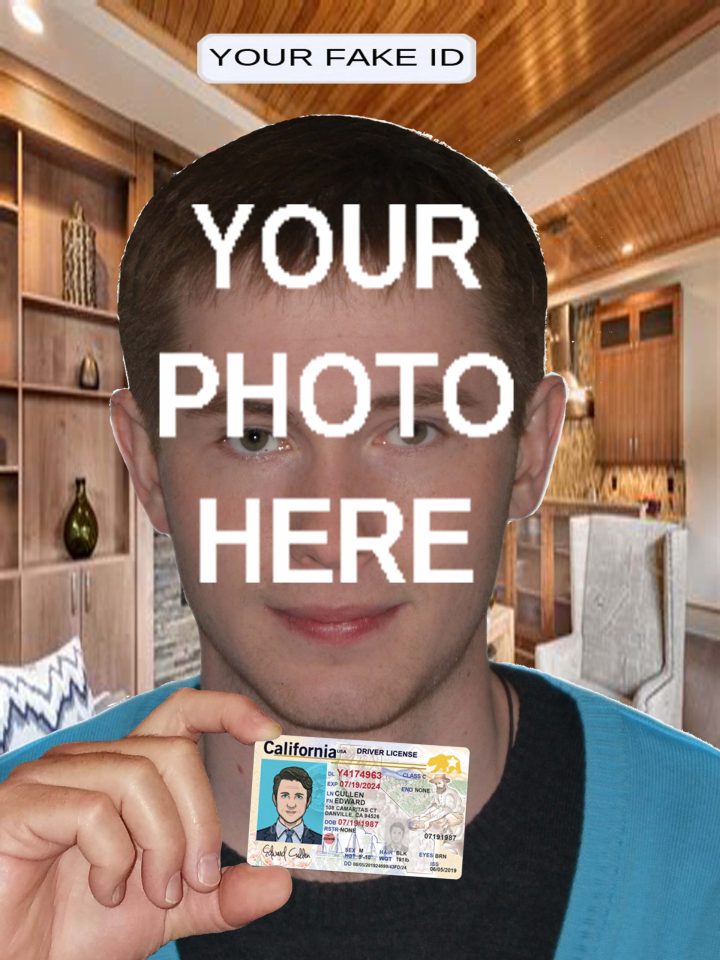 Fake Id Front And Back With Selfie